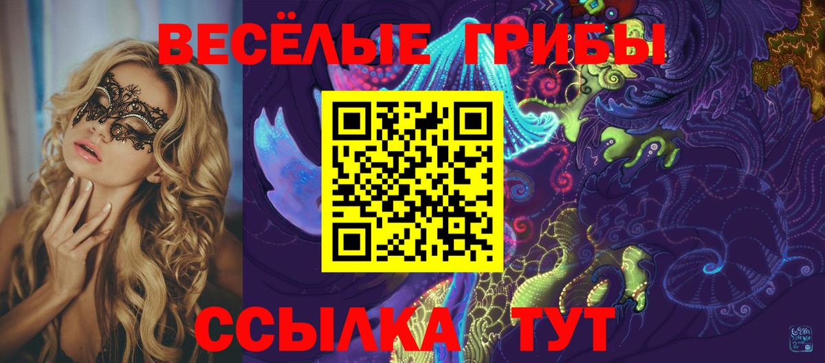 Псилоцибиновые грибы Magic Shrooms Шадринск