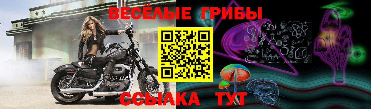 Псилоцибиновые грибы прущие грибы  Вход с VPN  Шадринск  Галлюциногенные грибы Cubensis 